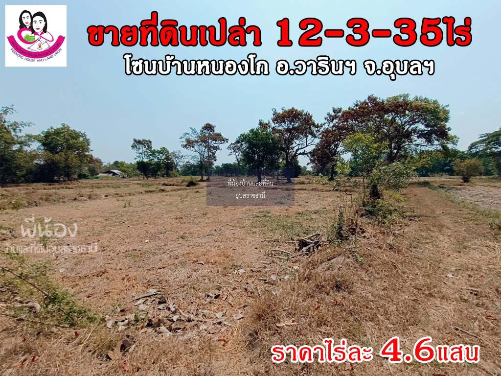 ขายที่ดินเปล่า 12ไร่ 3งาน 35ตารางวา