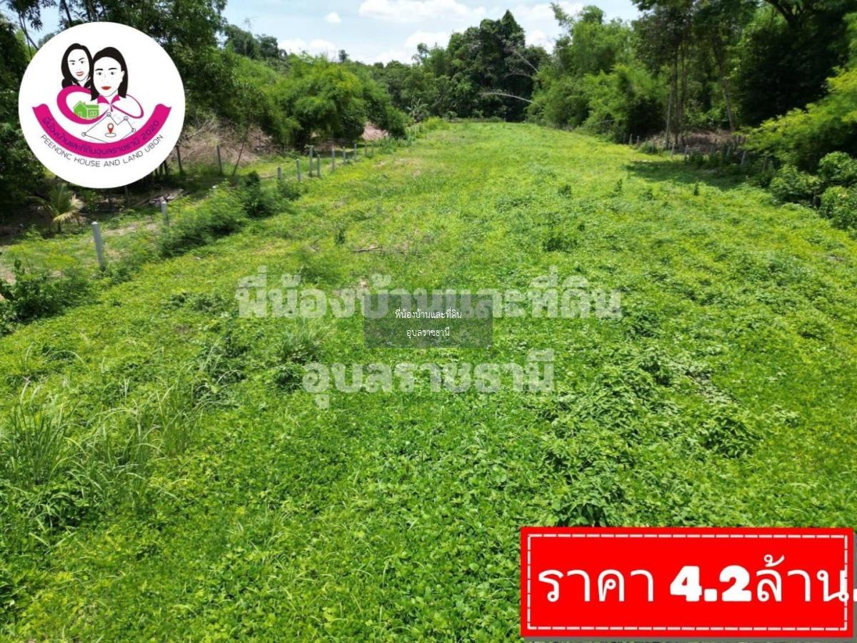 ขายที่ดินเปล่า-หลังวิทยาลัยสาธารณสุขสิรินธร - มหาวิทยาลัยอุบลราชธานี 