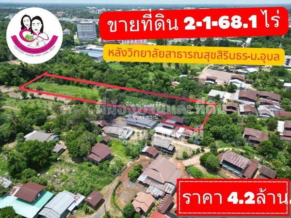 ขายที่ดินเปล่า-หลังวิทยาลัยสาธารณสุขสิรินธร - มหาวิทยาลัยอุบลราชธานี 