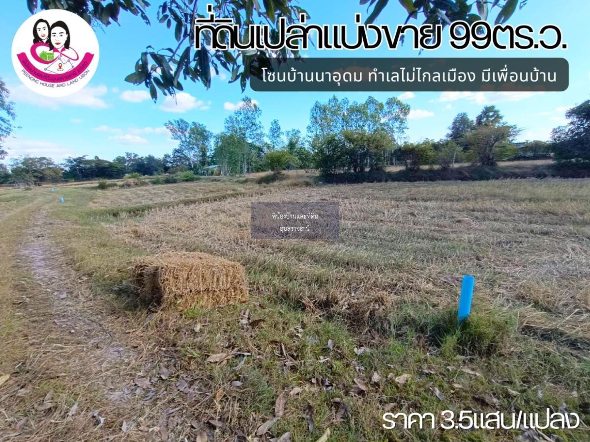 ที่ดินเปล่าแบ่งขาย โซนบ้านนาอุดม