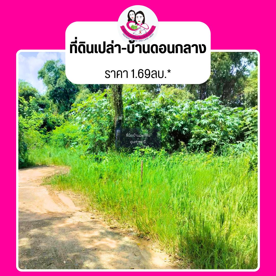 ขายที่ดินเปล่า โซนบ้านดอนกลาง