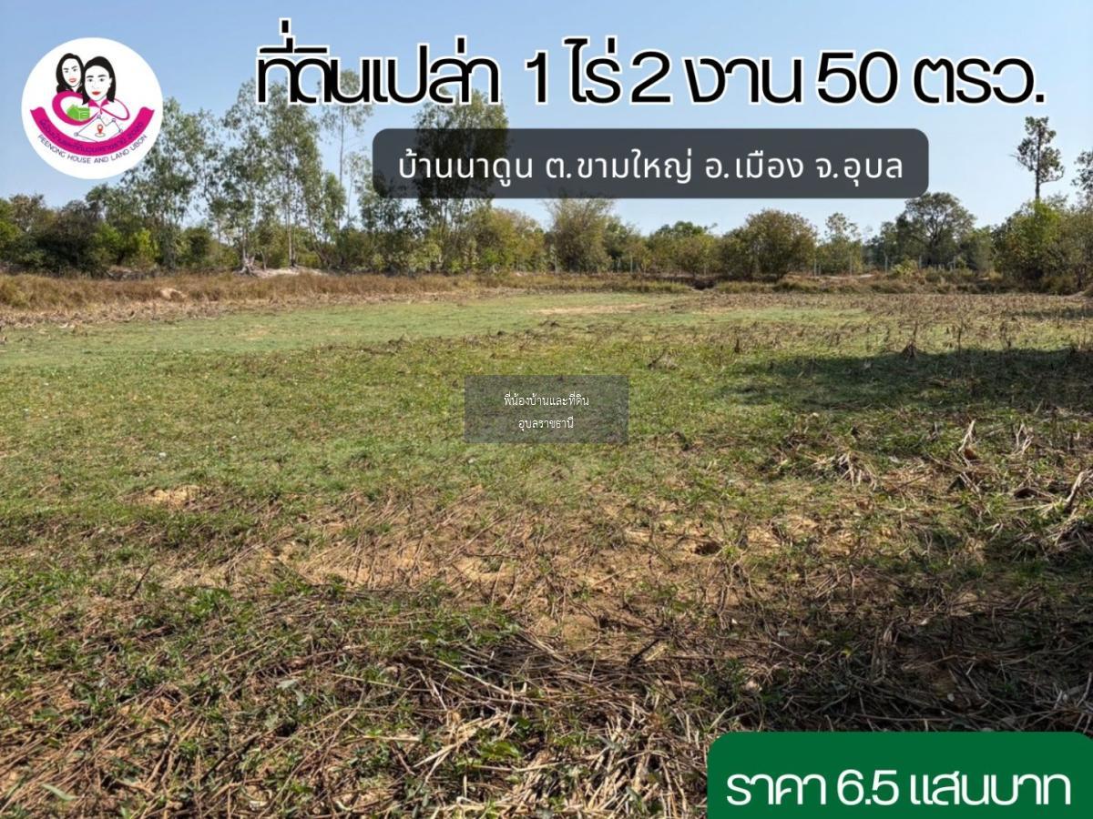 ขายที่ดิน บ้านนาดูน ต.ขามใหญ่ อ.เมือง จ.อุบล