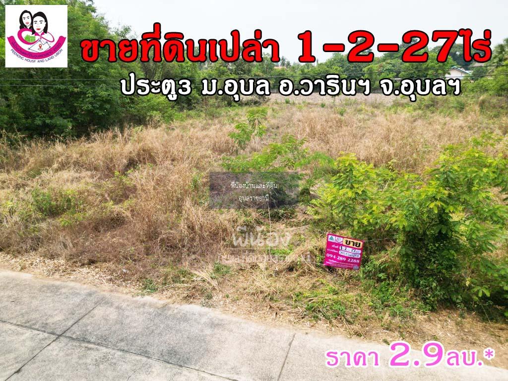 ขายที่ดินเปล่า โซนประตู3ม.อุบล 