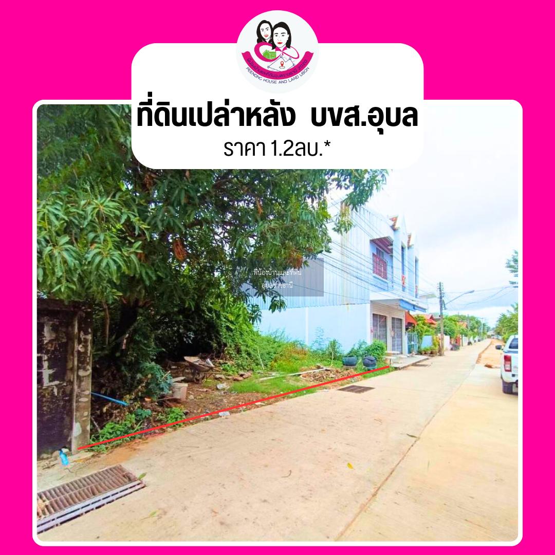 ขายที่ดินเปล่า โซนคลังอาวุธ