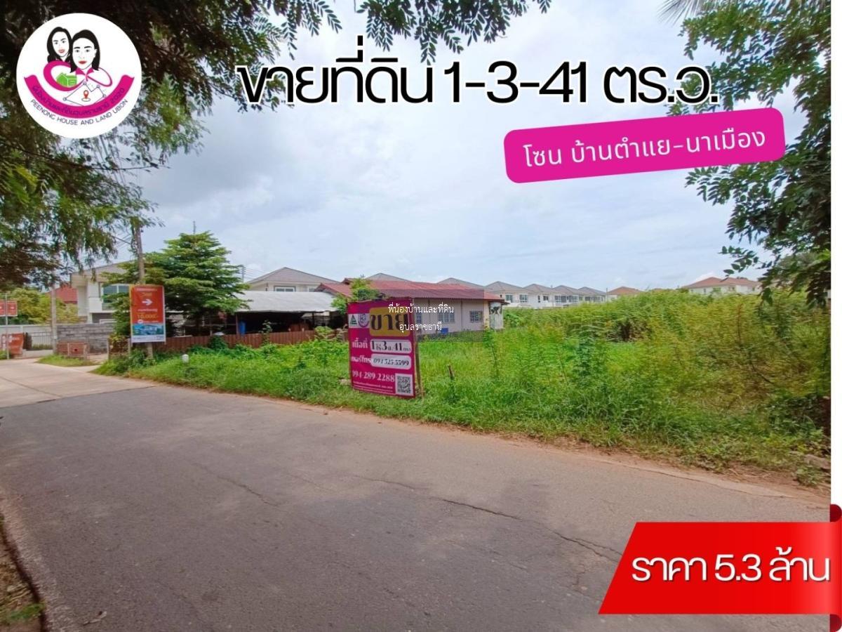 ขายที่ดิน โซนบ้านตำแย-นาเมือง เหมาะทำบ้านพักอาศัยหรือโครงการจัดสรร