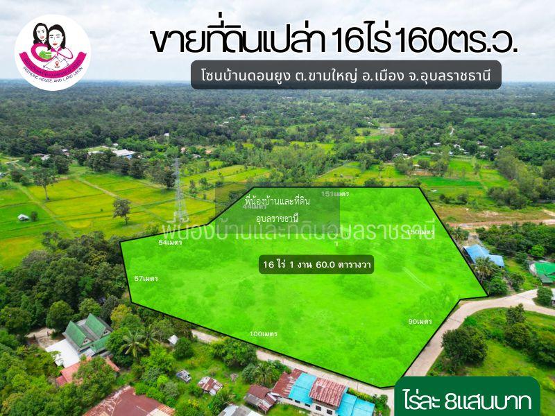  ขายที่ดินเปล่า โซนบ้านดอนยุง