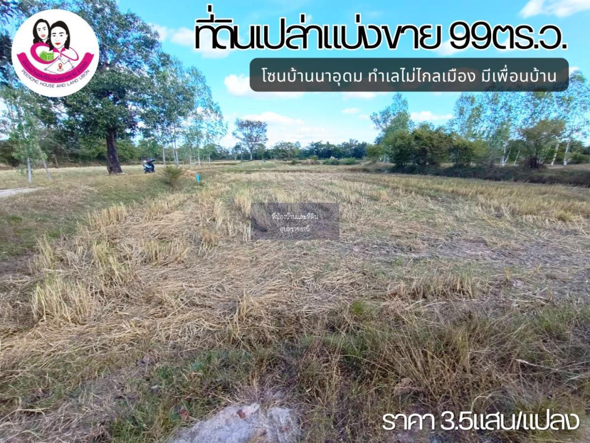 ที่ดินเปล่าแบ่งขาย โซนบ้านนาอุดม